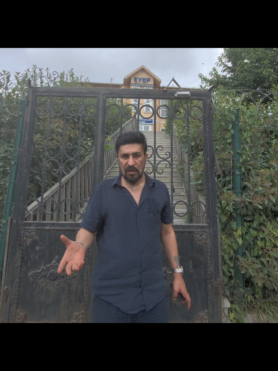 @Çınar İlhami YILDIRIM