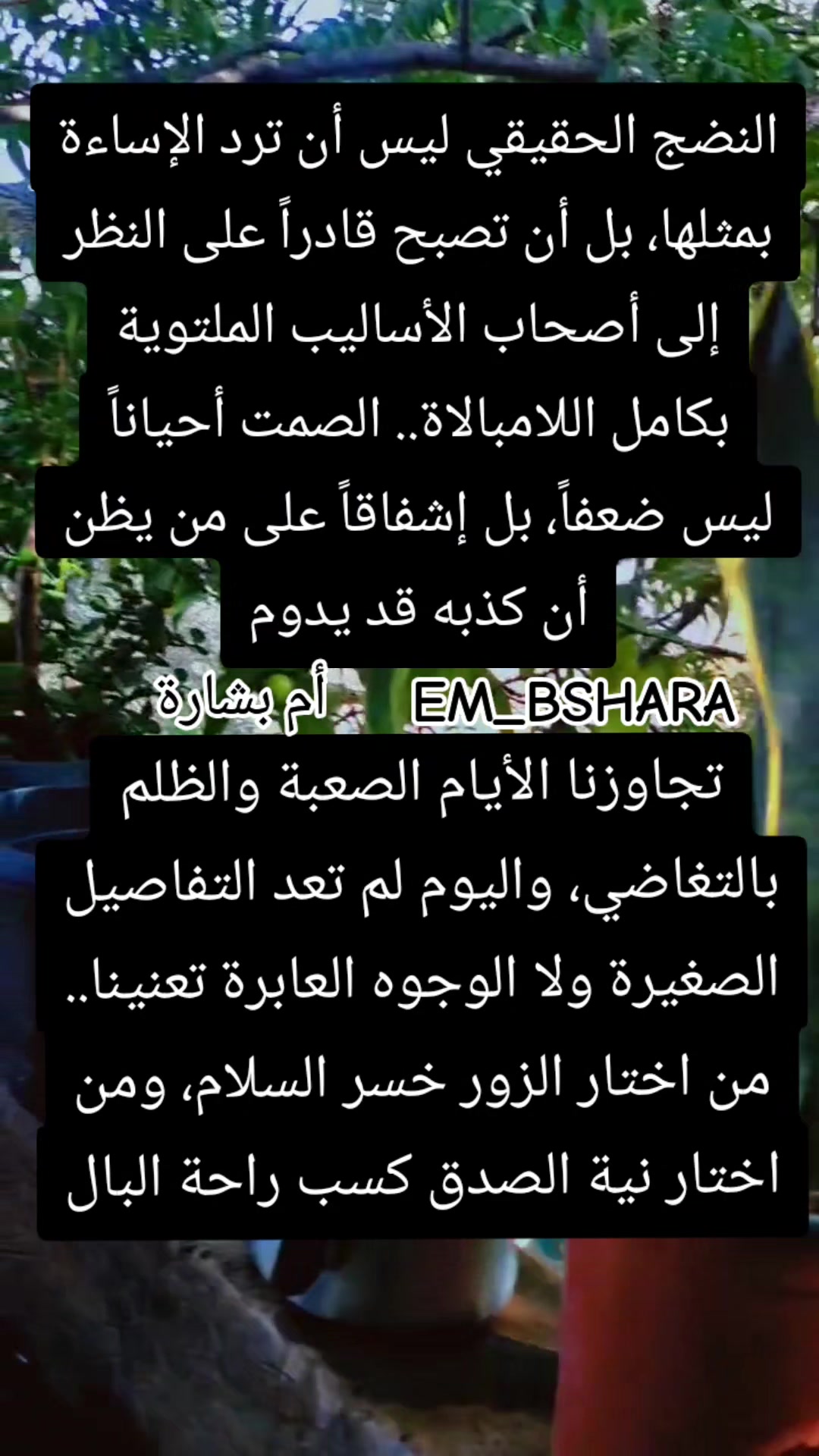 @🖌️🎨أم بشارة 🖌️🎨