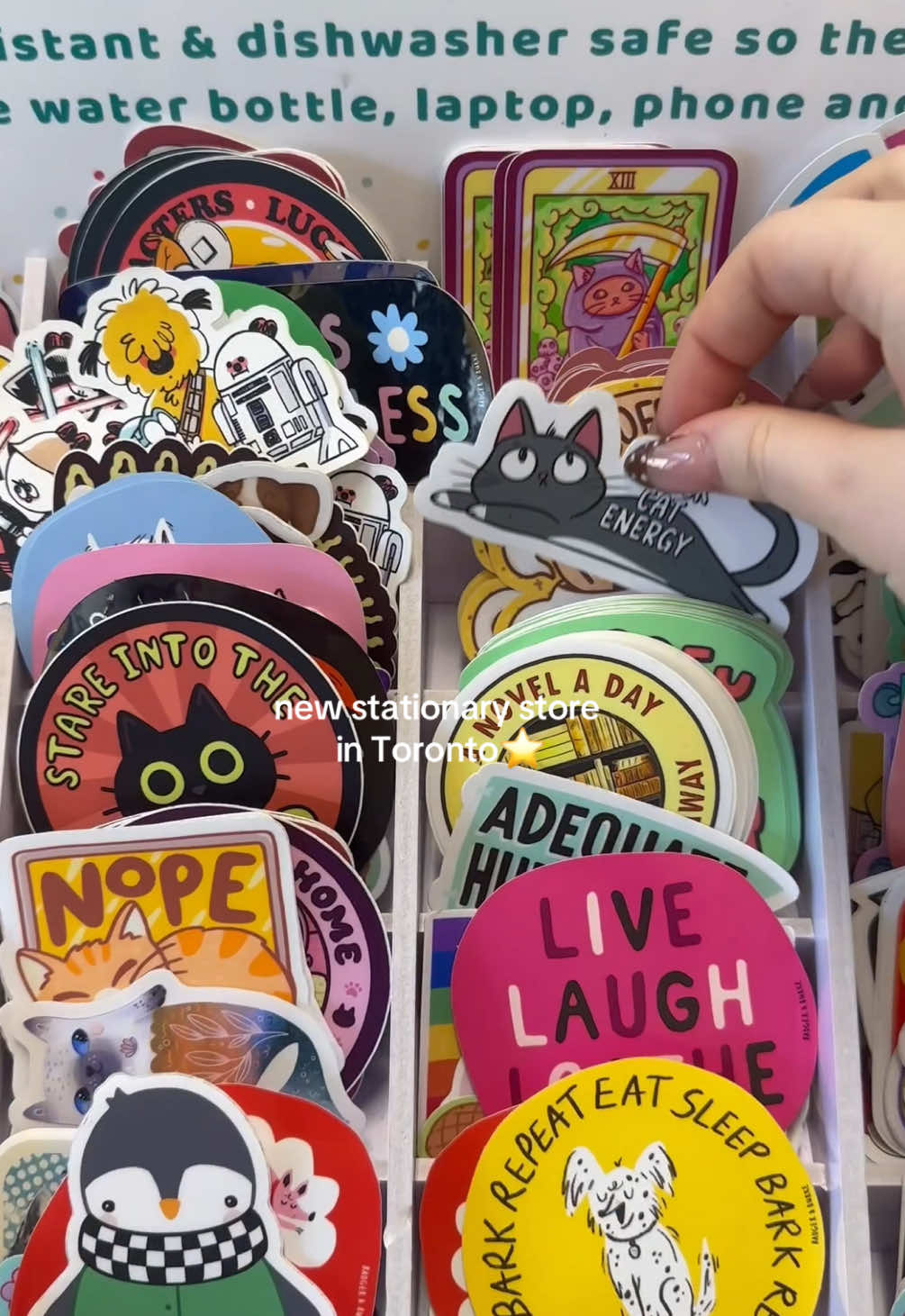 @Angela🤍| Toronto Creator
