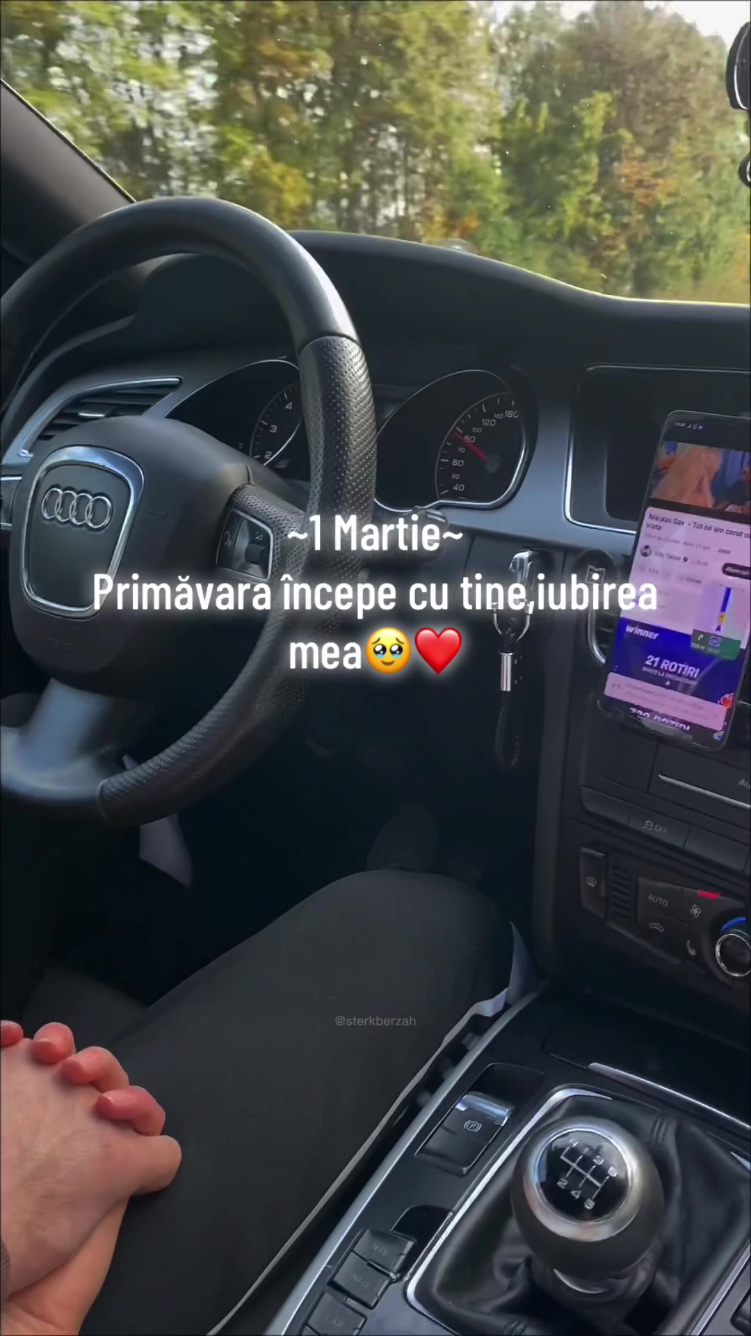 @DanielaIchim