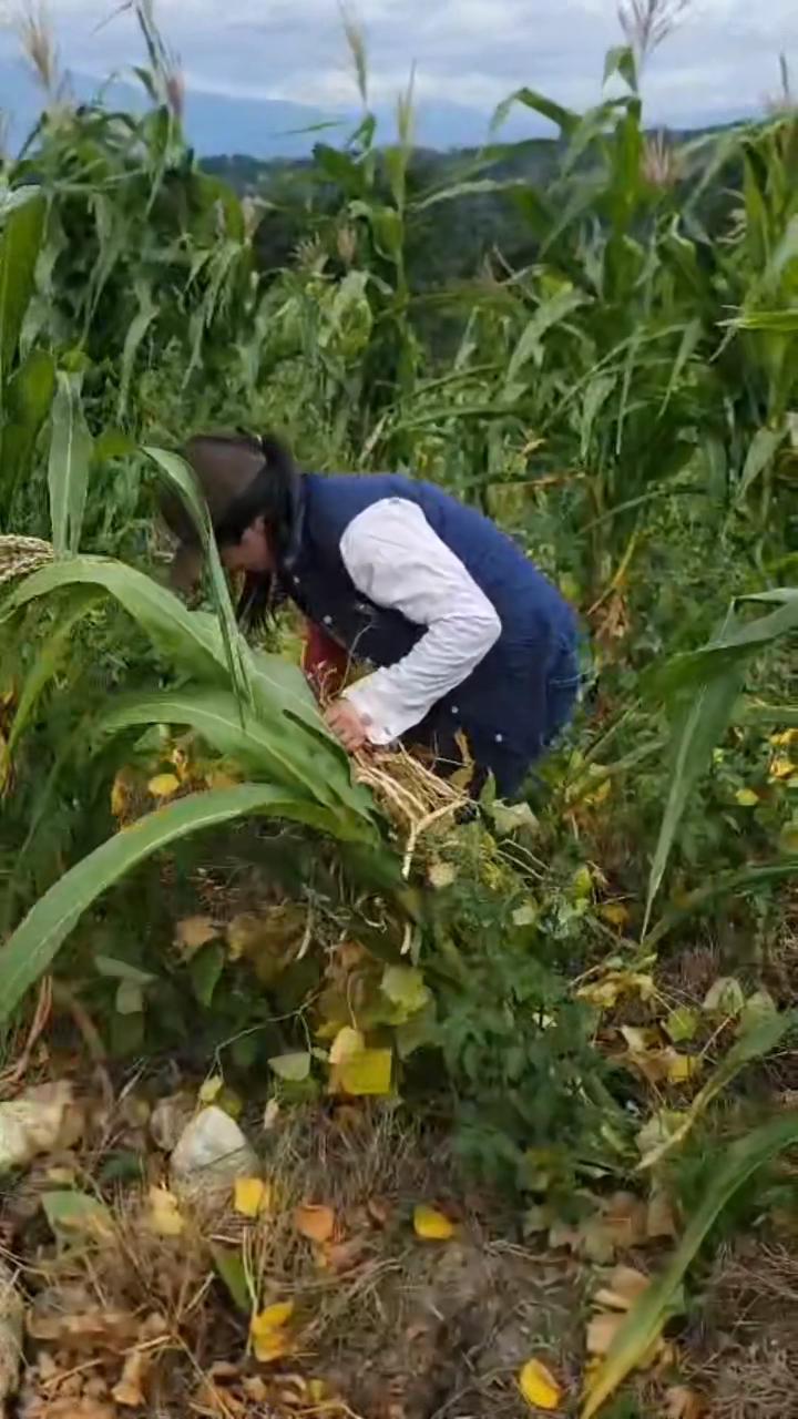 @Gissely86🤍