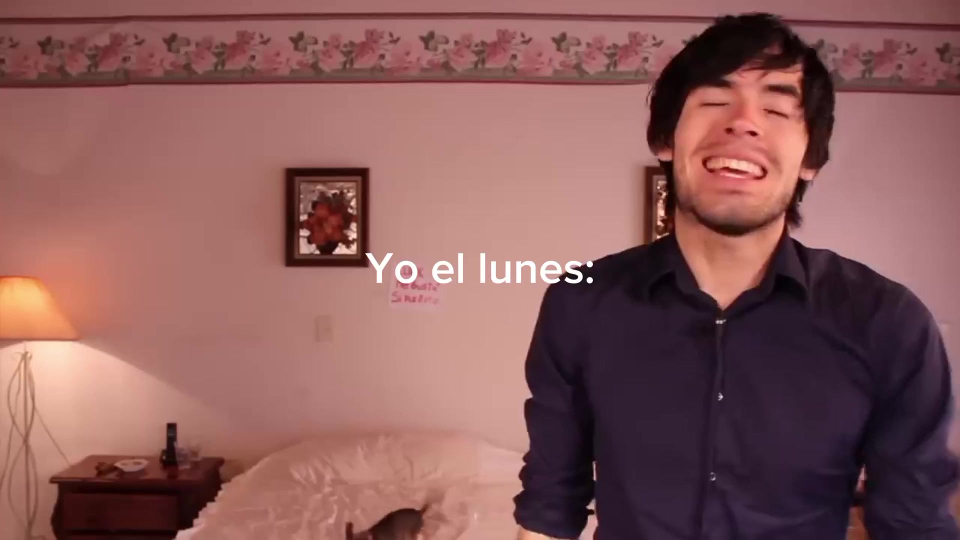 @Poli