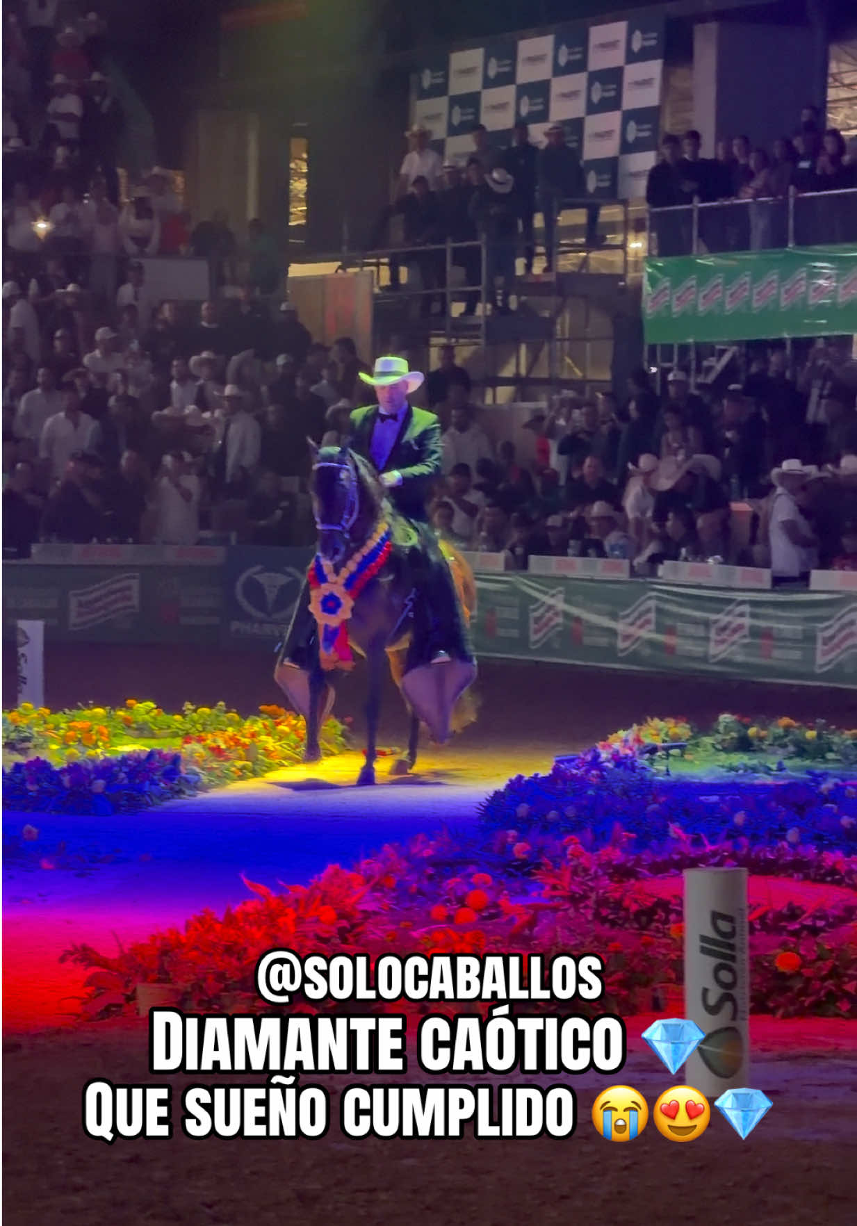 @Solo Caballos
