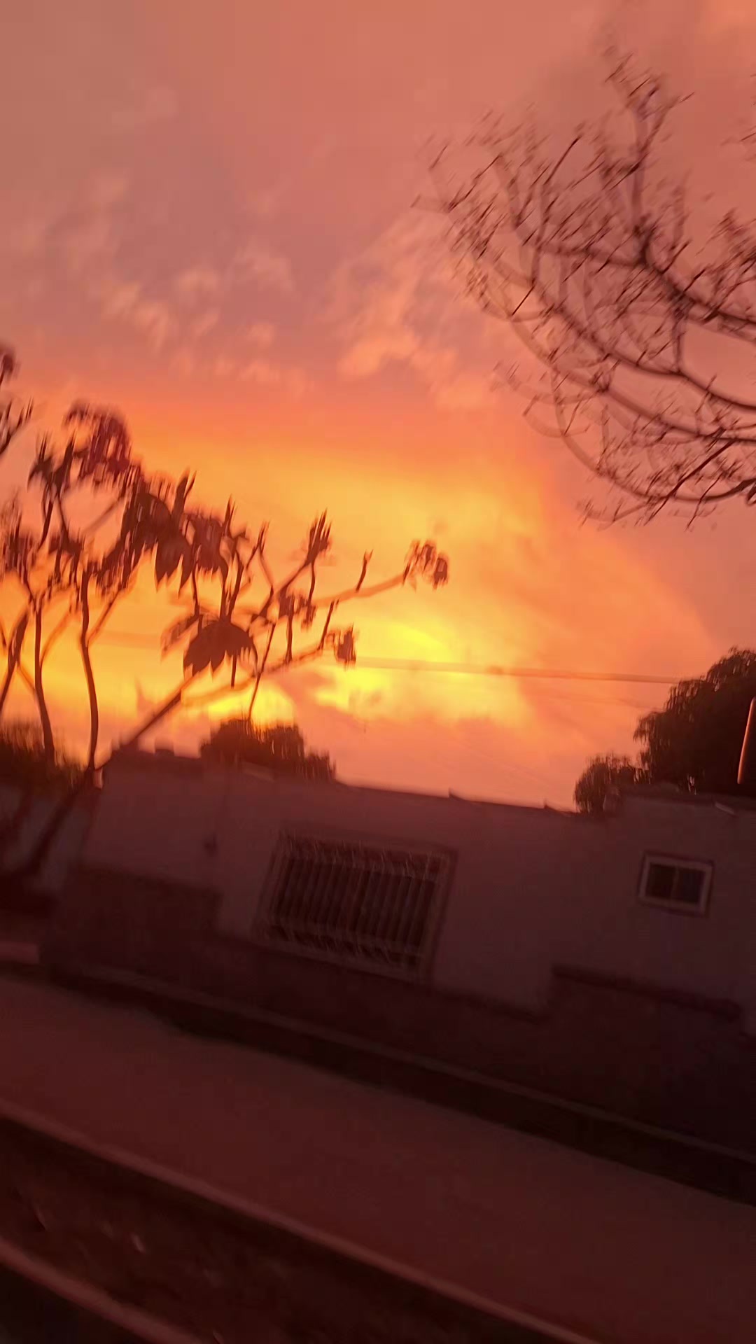 @Anahi Garcia de Alma
