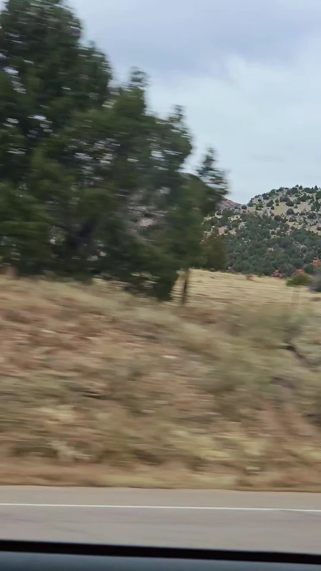 @Red Dawn