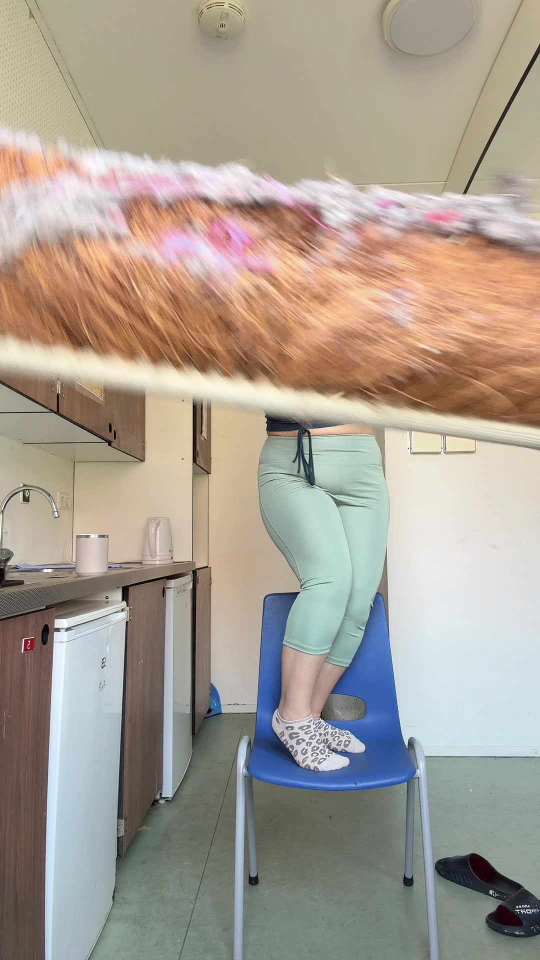 @caglamomy