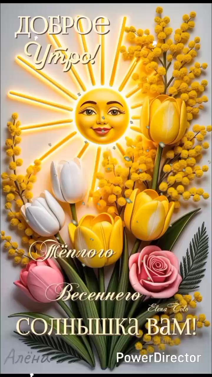 @user25256083356