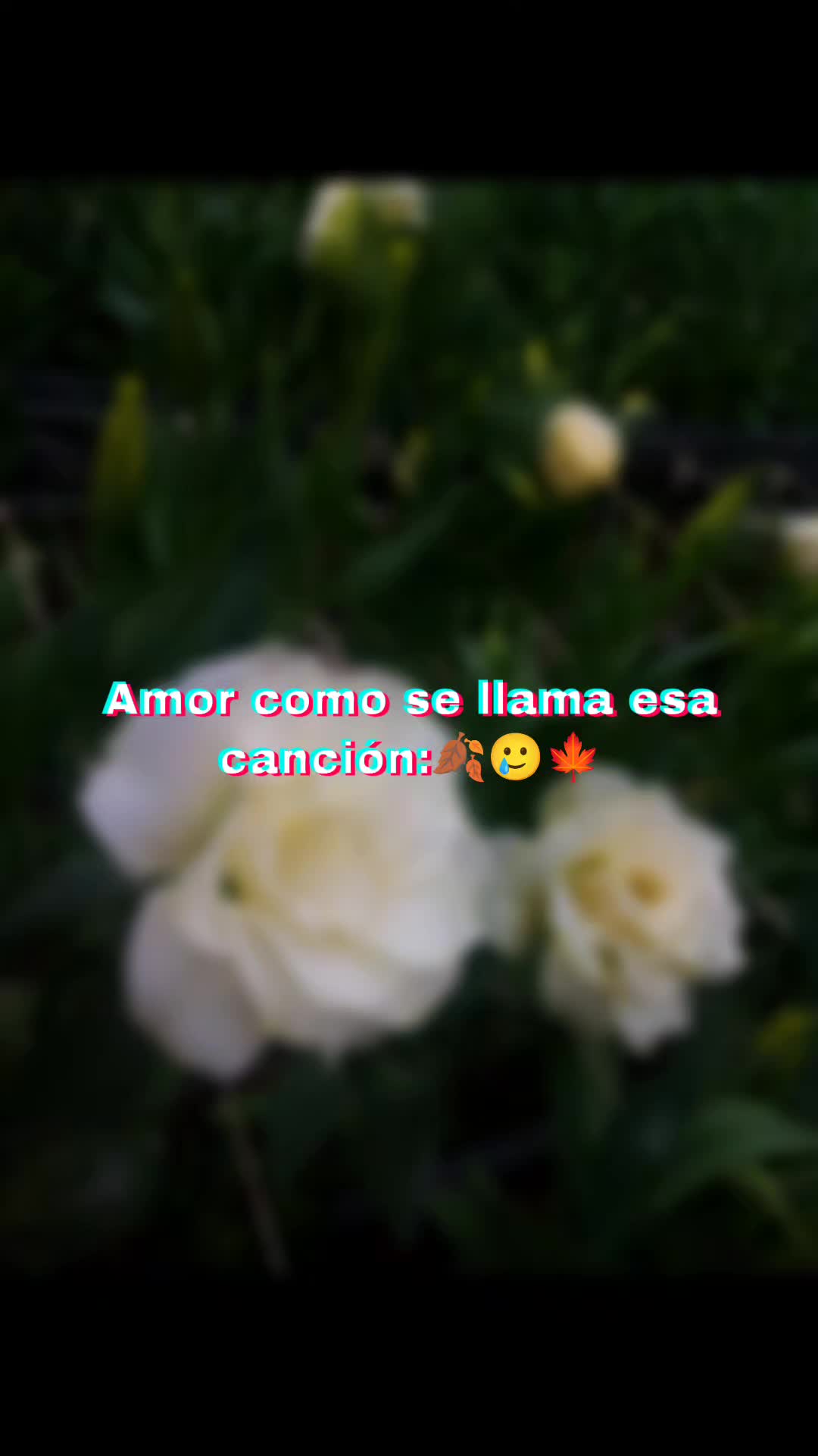 @꧁☠︎𝔪卂r𝐢ή꧅꧂