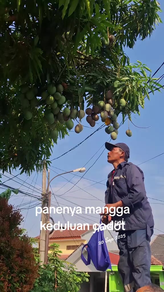@Mugi