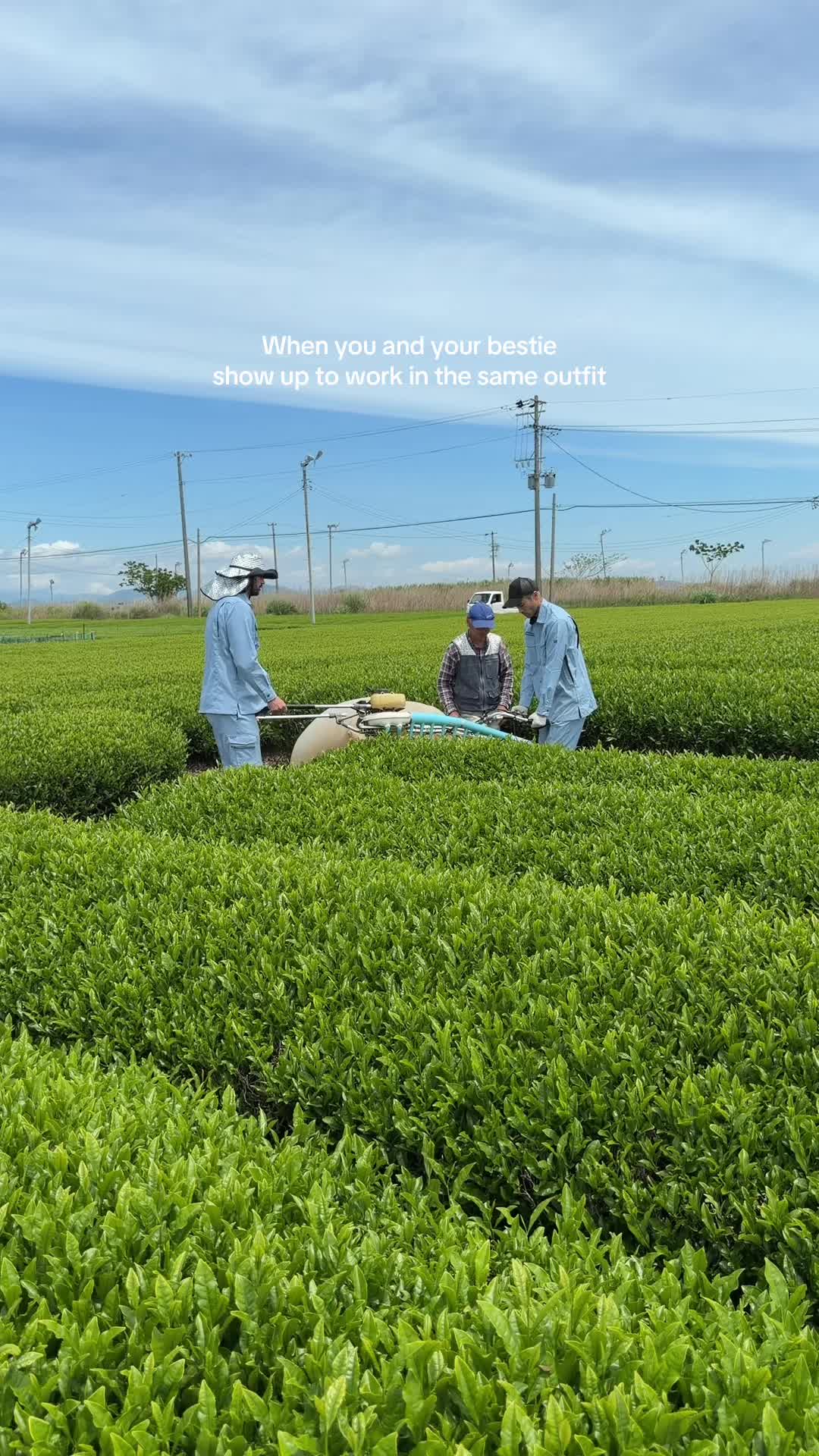 @Nekohama Matcha