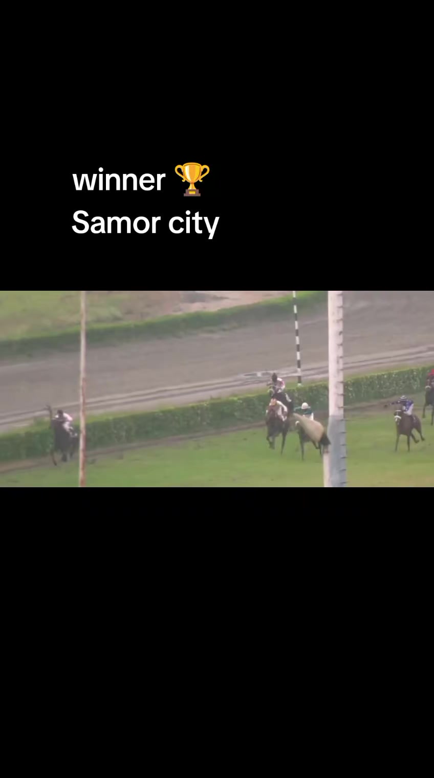 @samor 1