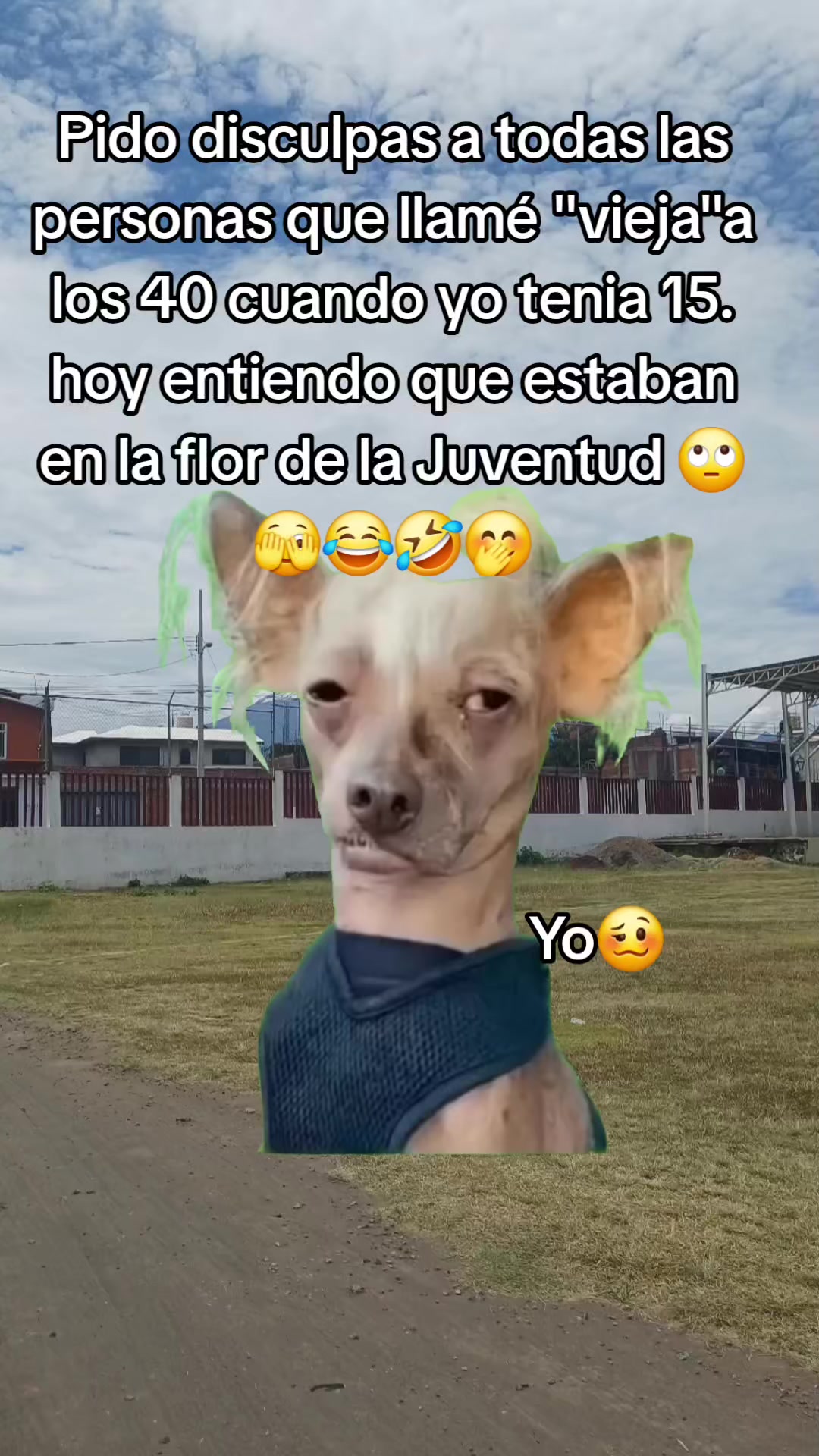 @✨️🫀la Güera🕊🍓