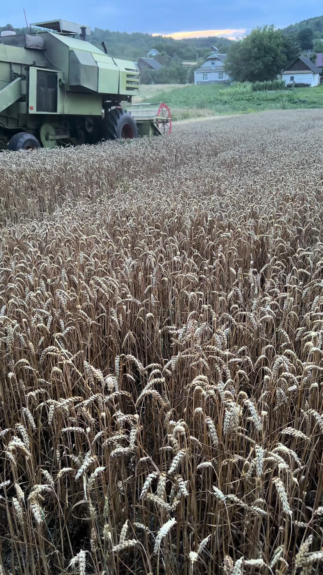 @🌾Diagri1996🌾