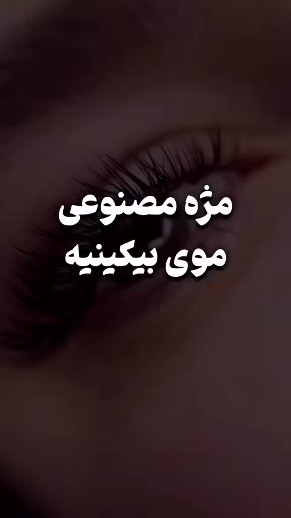@bavar__kasit__1