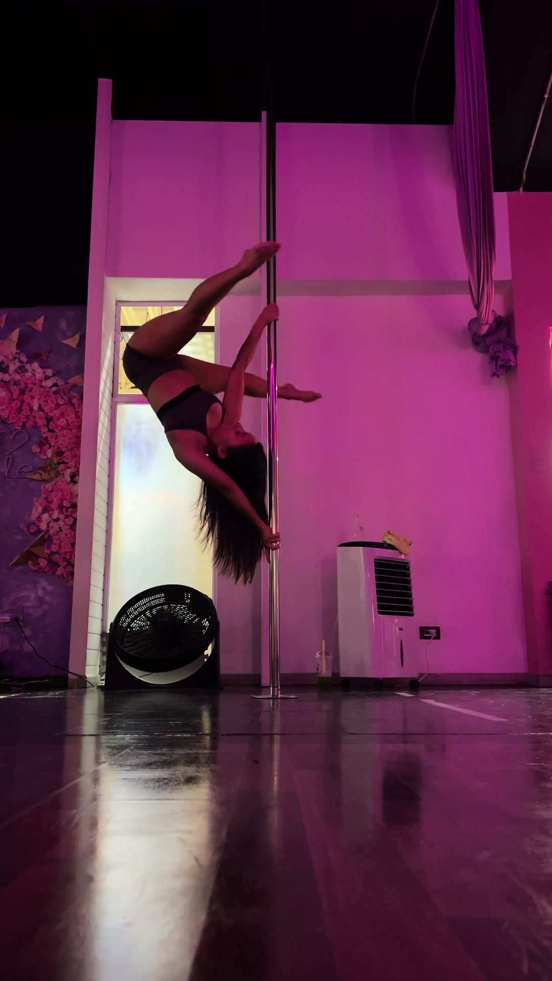 @karimongeli