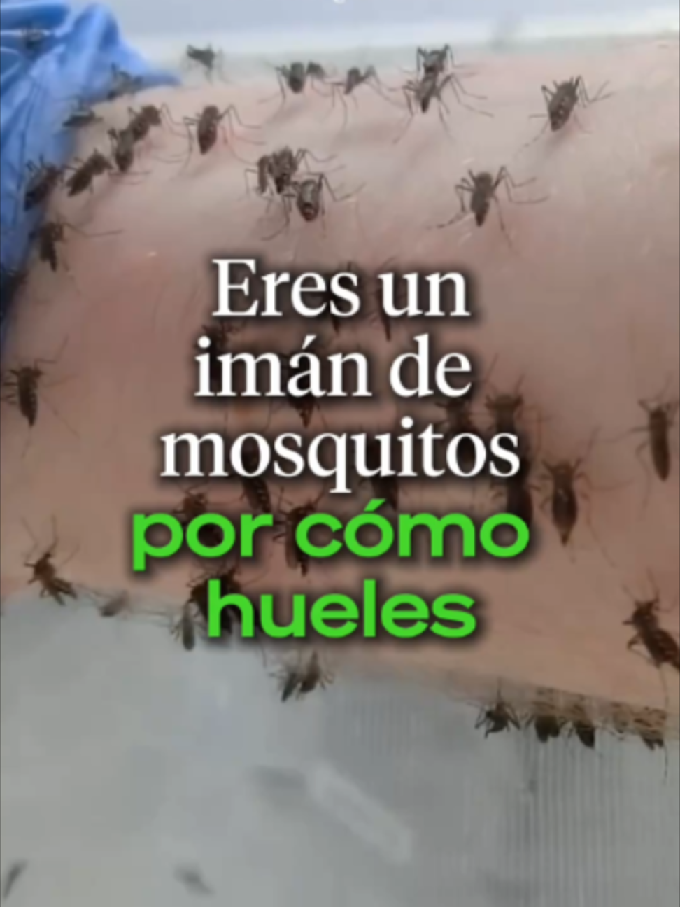 @Ahora Entiendo
