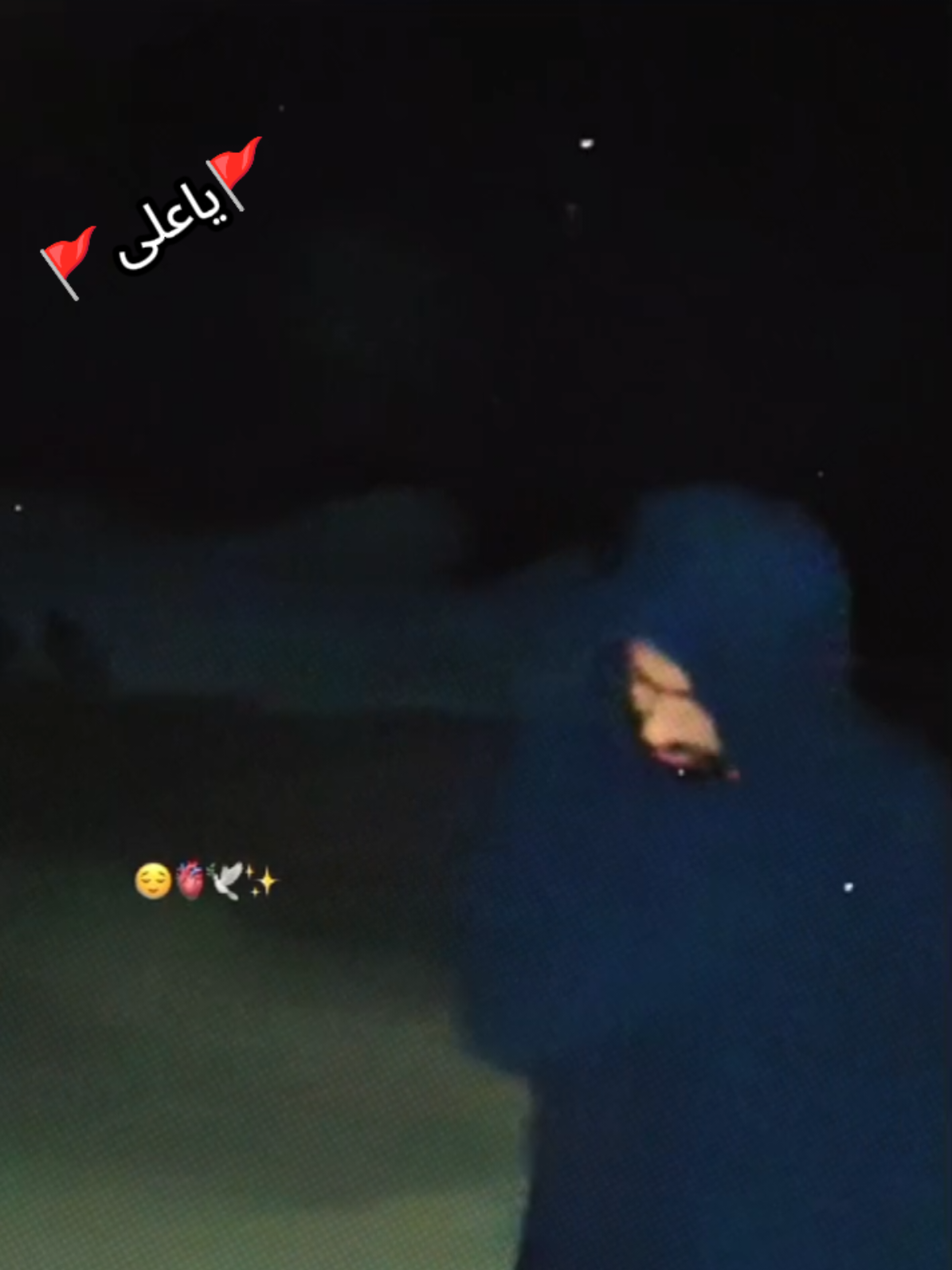 @☾𓂃 Ⱬ₳ł₦ ɄⱠ ₳฿łĐɆɆ₦ 𓂃☽ ⁰⁰⁷