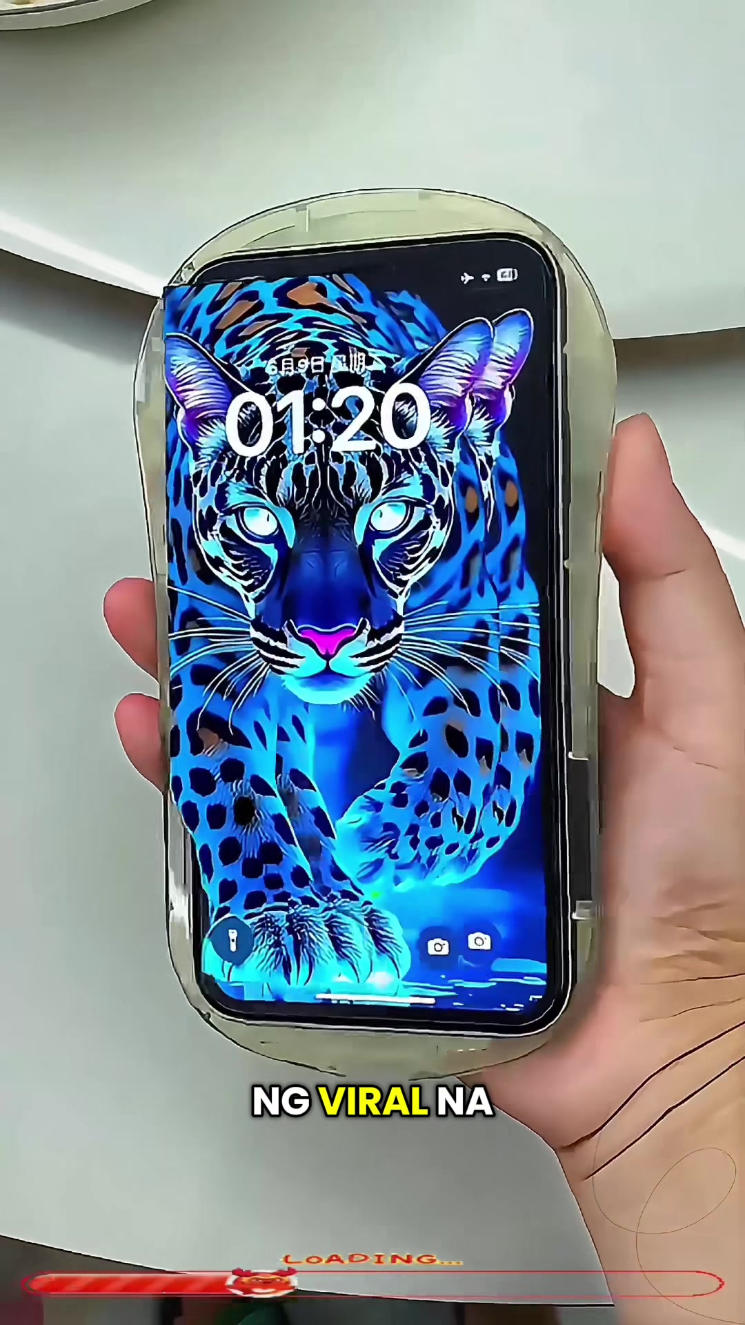 @cheng010