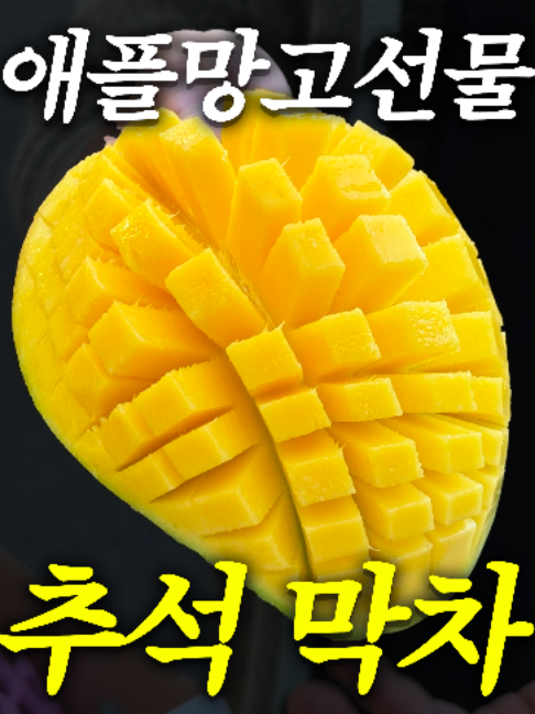 @해운대송사장
