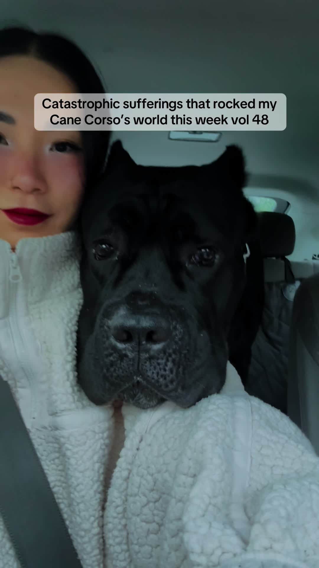 @Bentley Has Issues