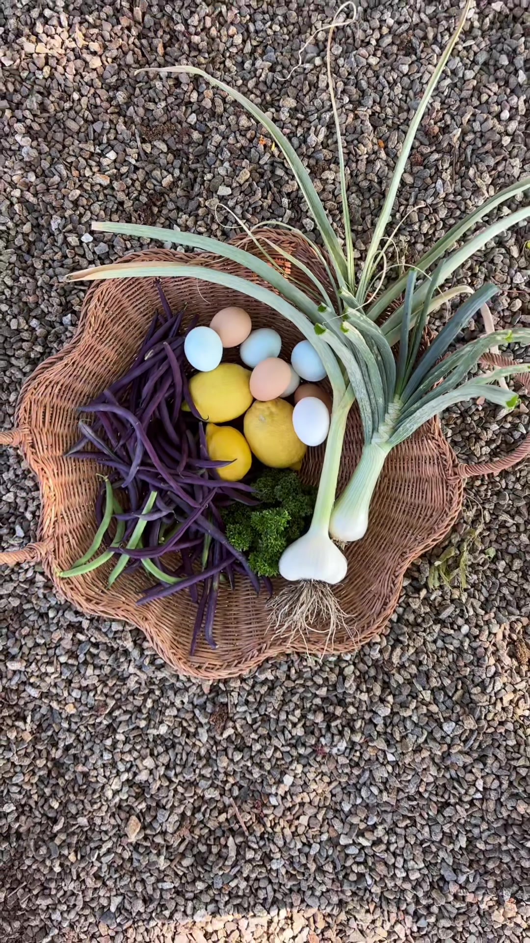 @earthboundgardening