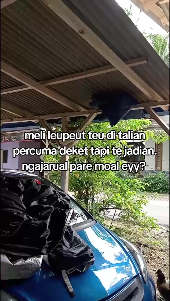 @cepOYAG🀄🤙