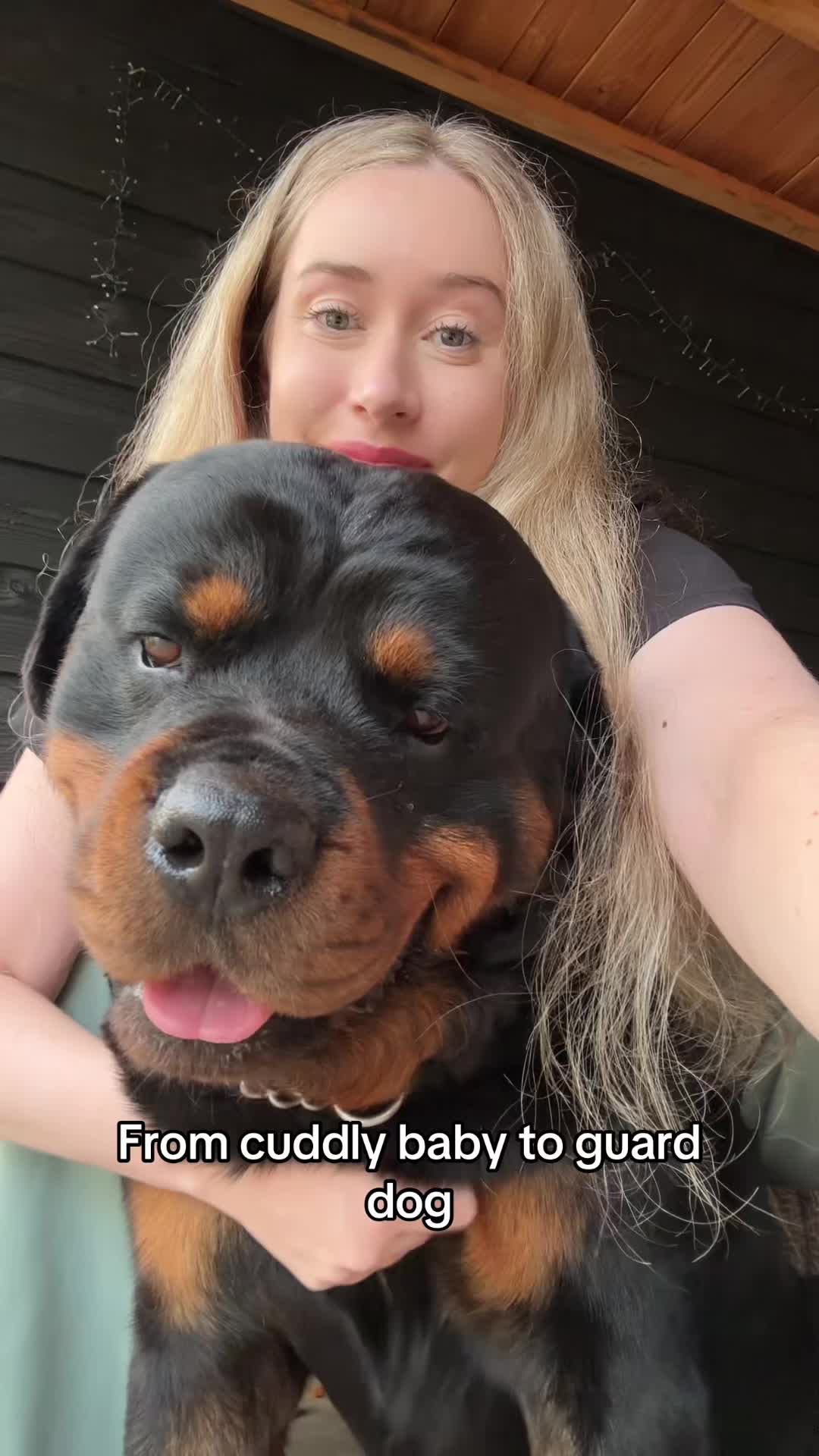 @🐾💙Dyce & Donna🩷🐾