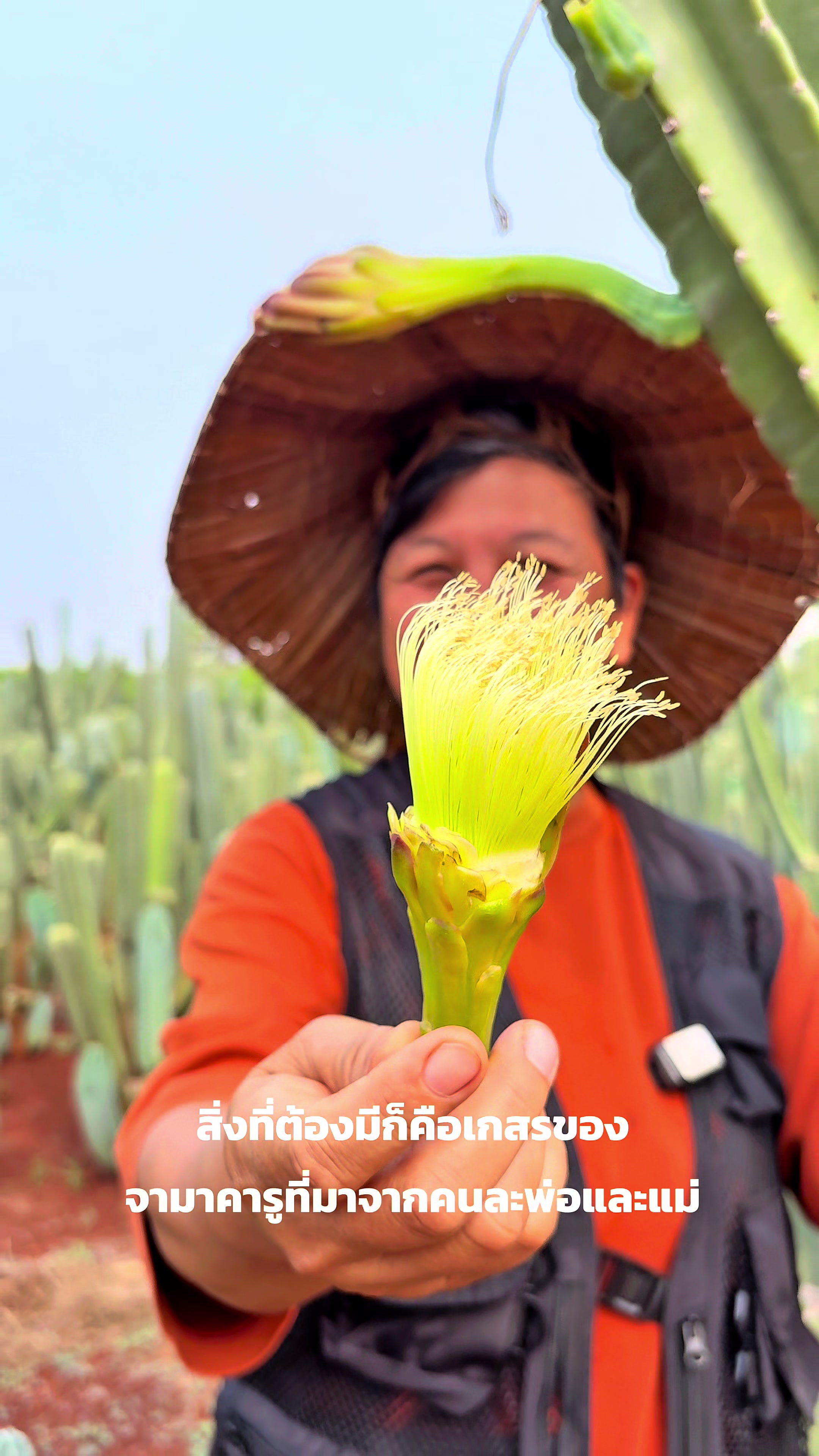 @ไร่วันยังขำ Oneyoungkham farm