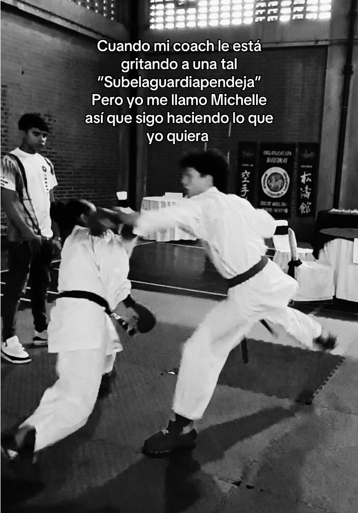 @Michelle Jardim