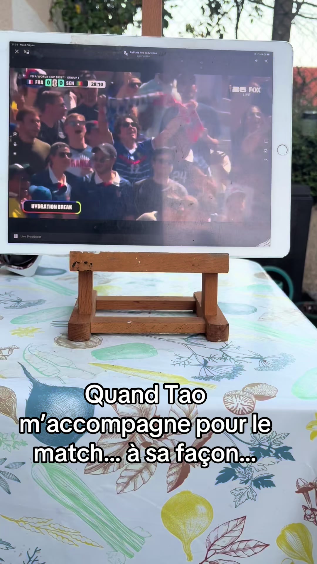@Tao 🐈⬛ et Kiara 🐈⬛