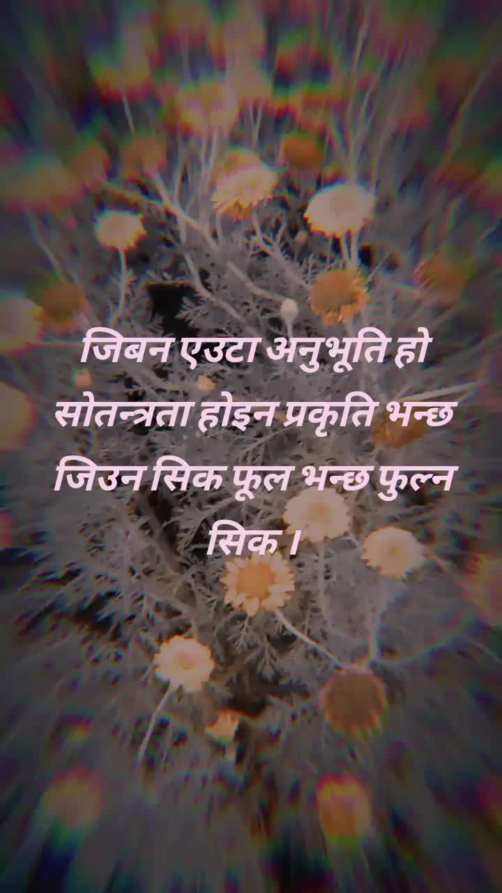 @[[NamxAL AllmA}[