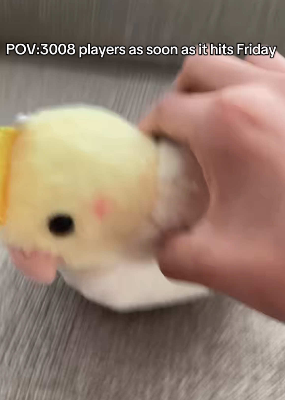 @tweety