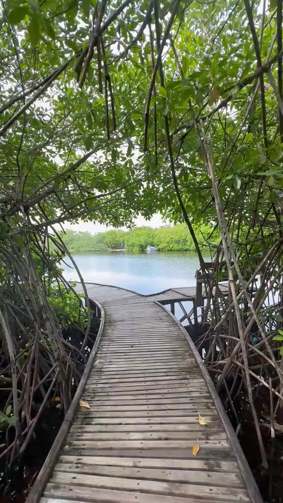 @shim🇲🇻
