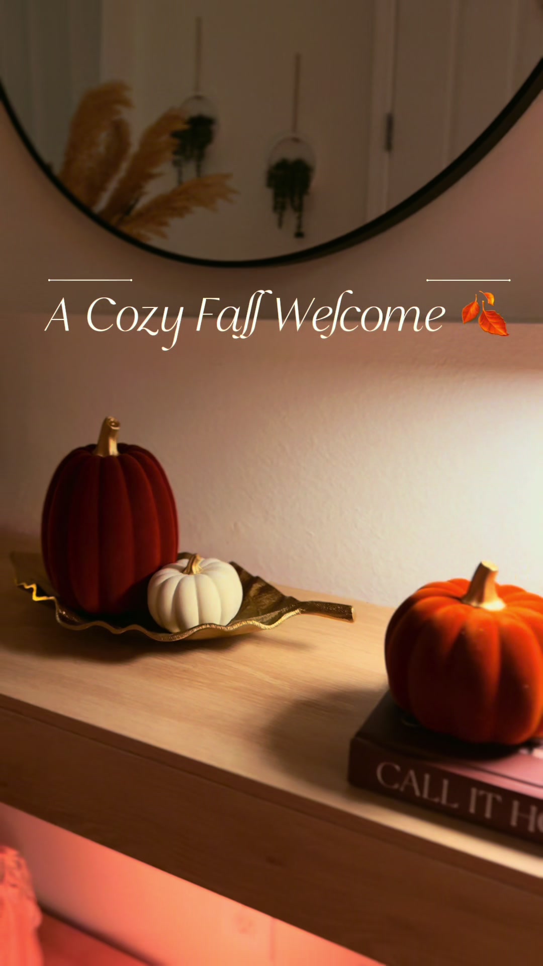 @Zarela -Home -Decor