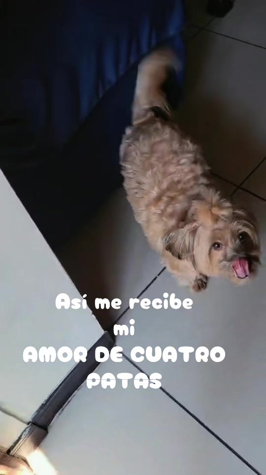 @Ivette Valiente