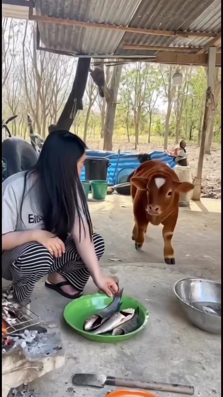@Đ&Agrave;I C&Ocirc;NG TỬ MH
