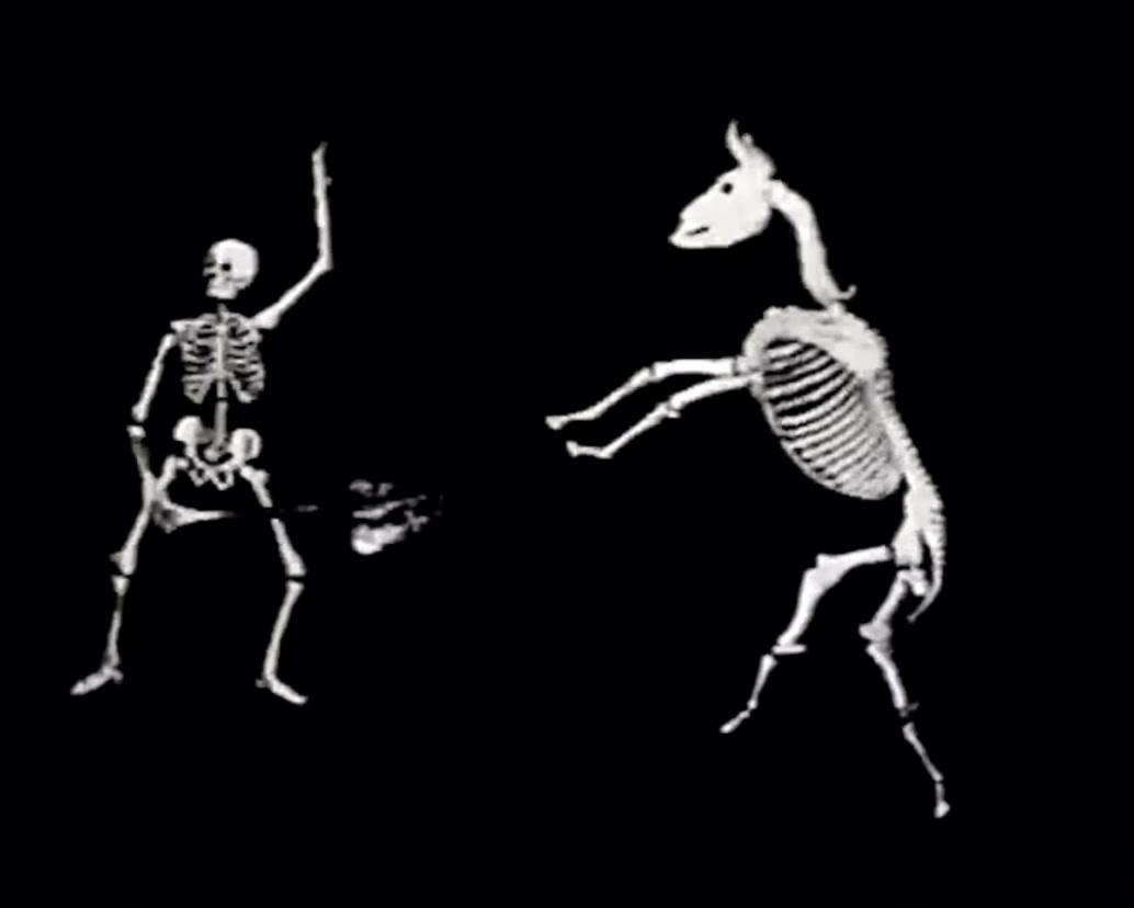 @SARCOMA HORROR