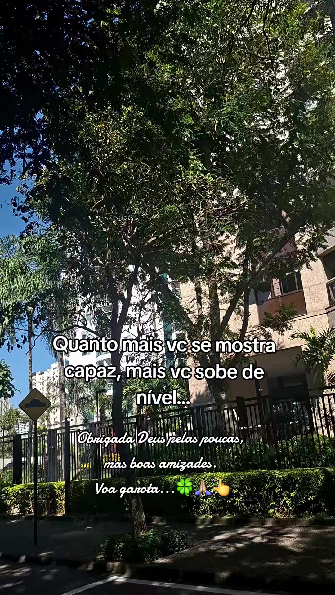 @carlasoares3435