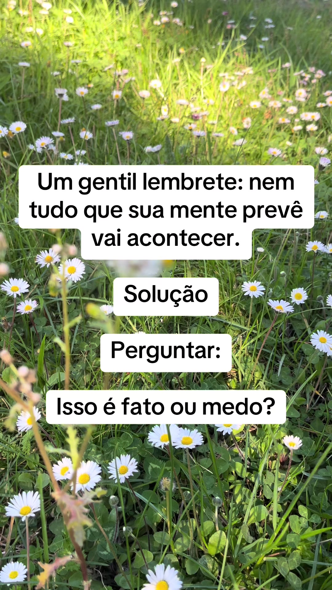 @Vanessa E. Santos | Terapeuta