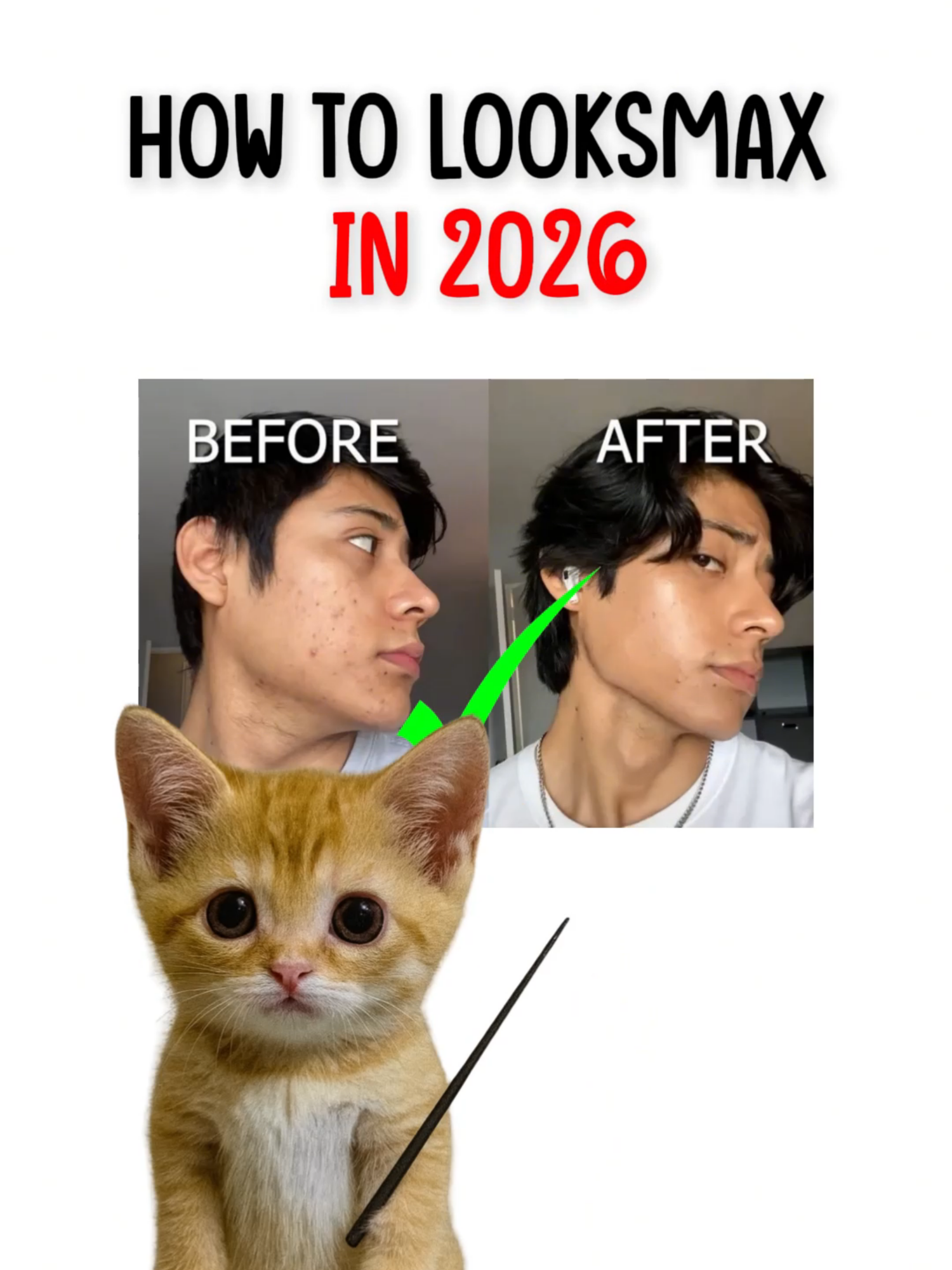 @mrkittyn