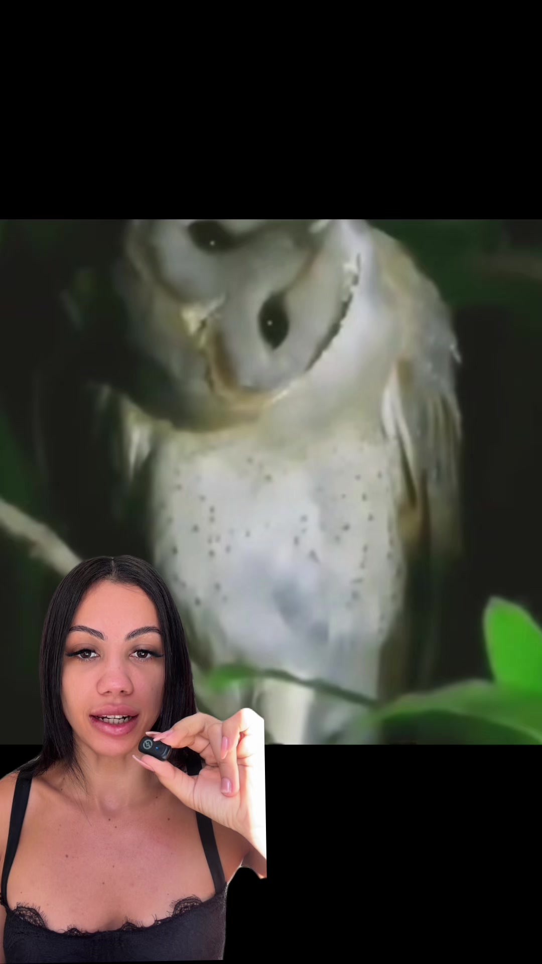 @itsvictoriahale