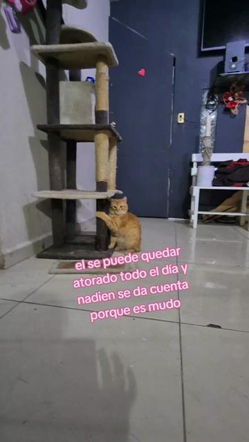 @LUPITA MARTINEZ 😻
