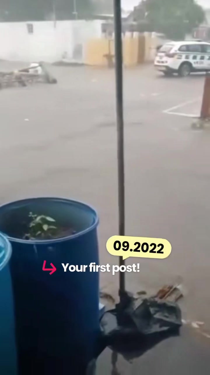 @FOR🐊AMUSEMENT🇯🇲ONLY🐊