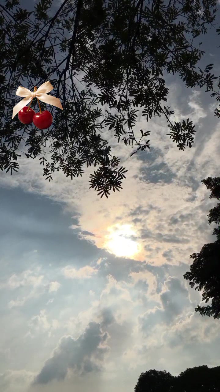 @@alexa@