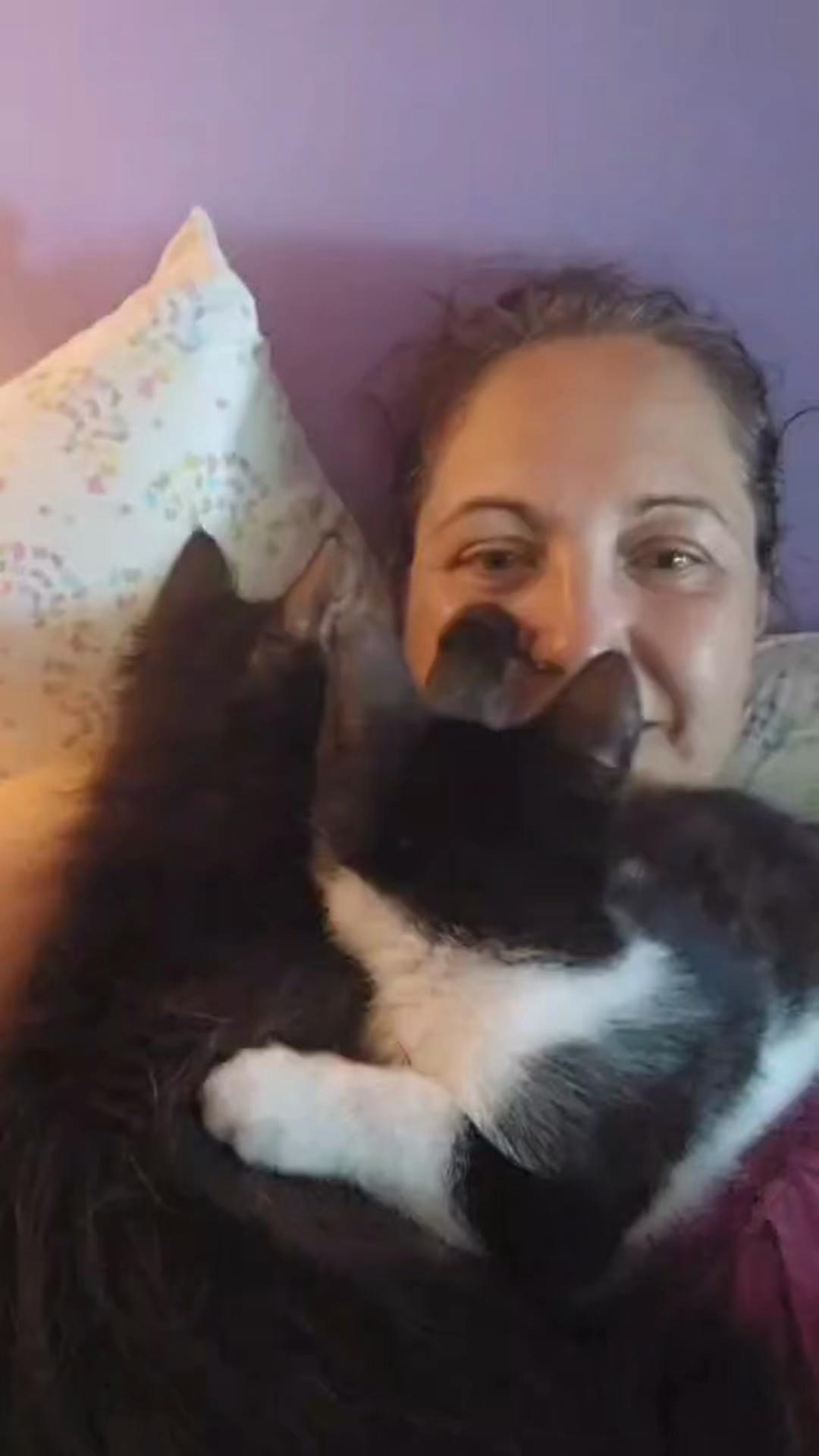 @North Toronto Cat Rescue