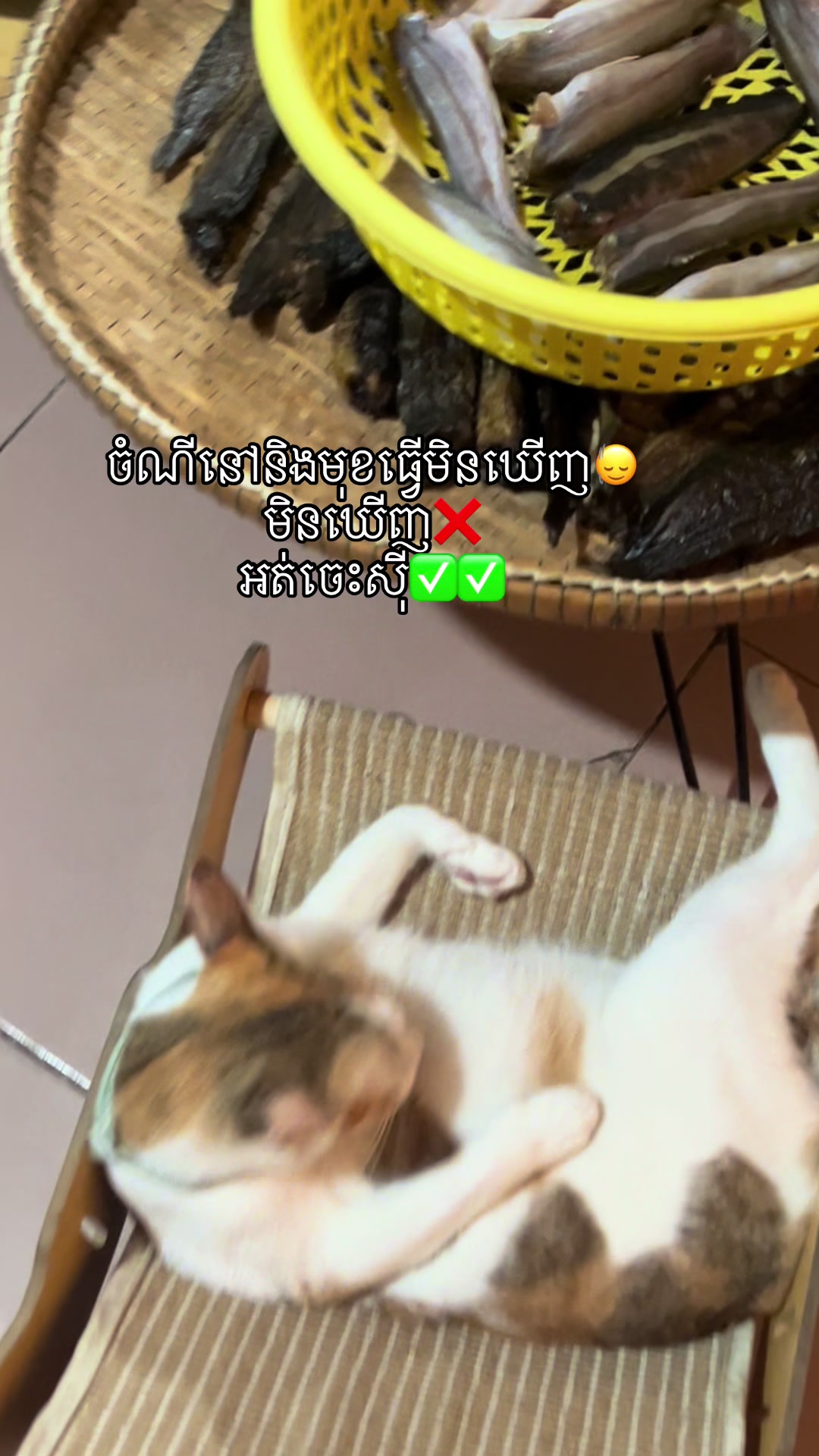@Mew mew