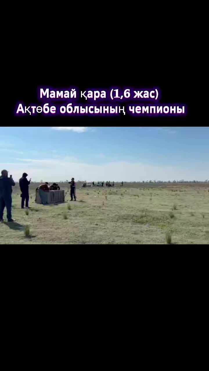 @ҒАЛЫМ ҚАЛАБАЕВ
