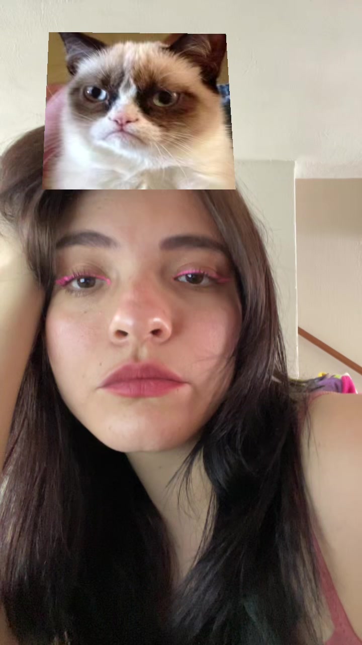 @civethnictehahaha