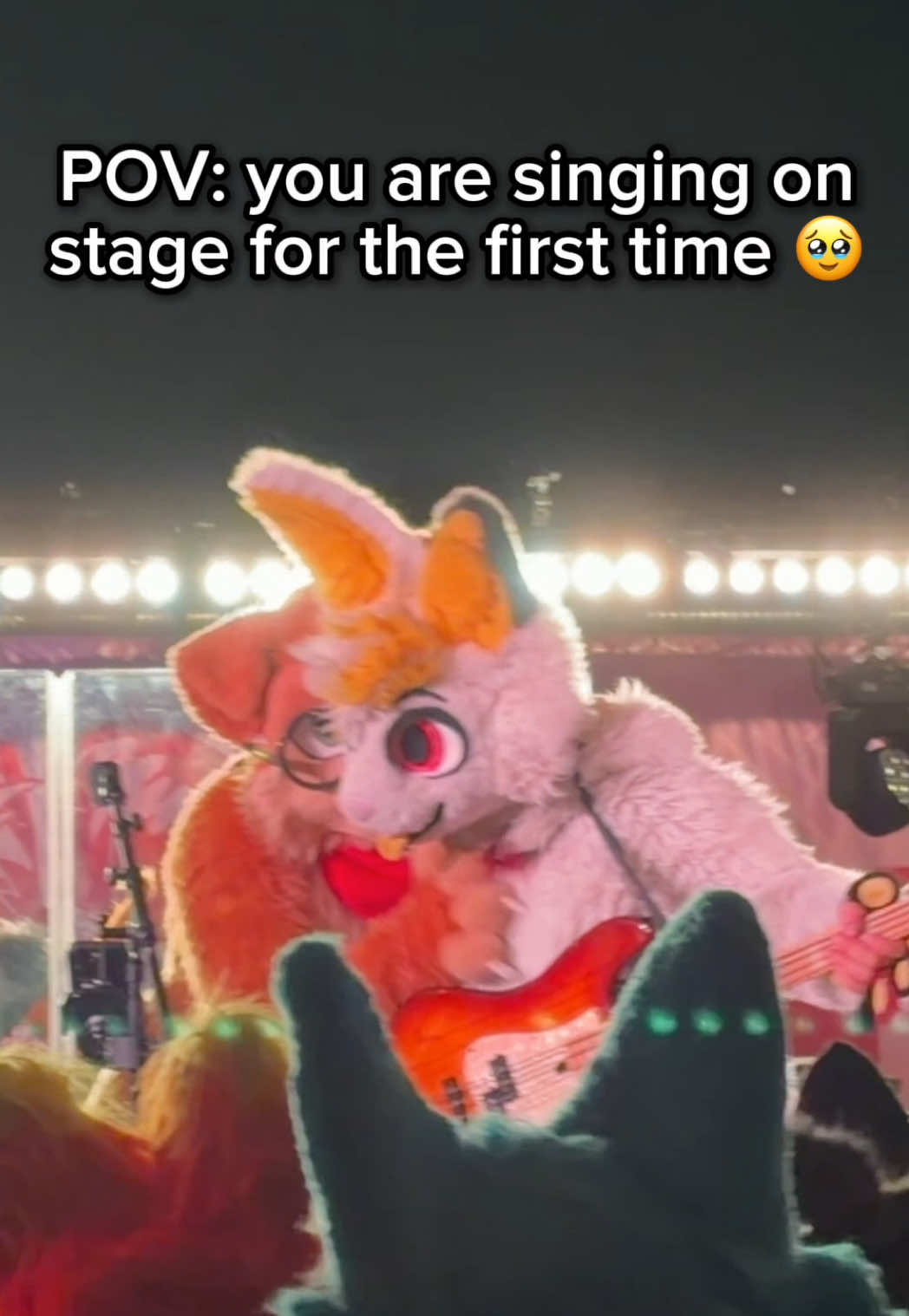 @Max Fluffy
