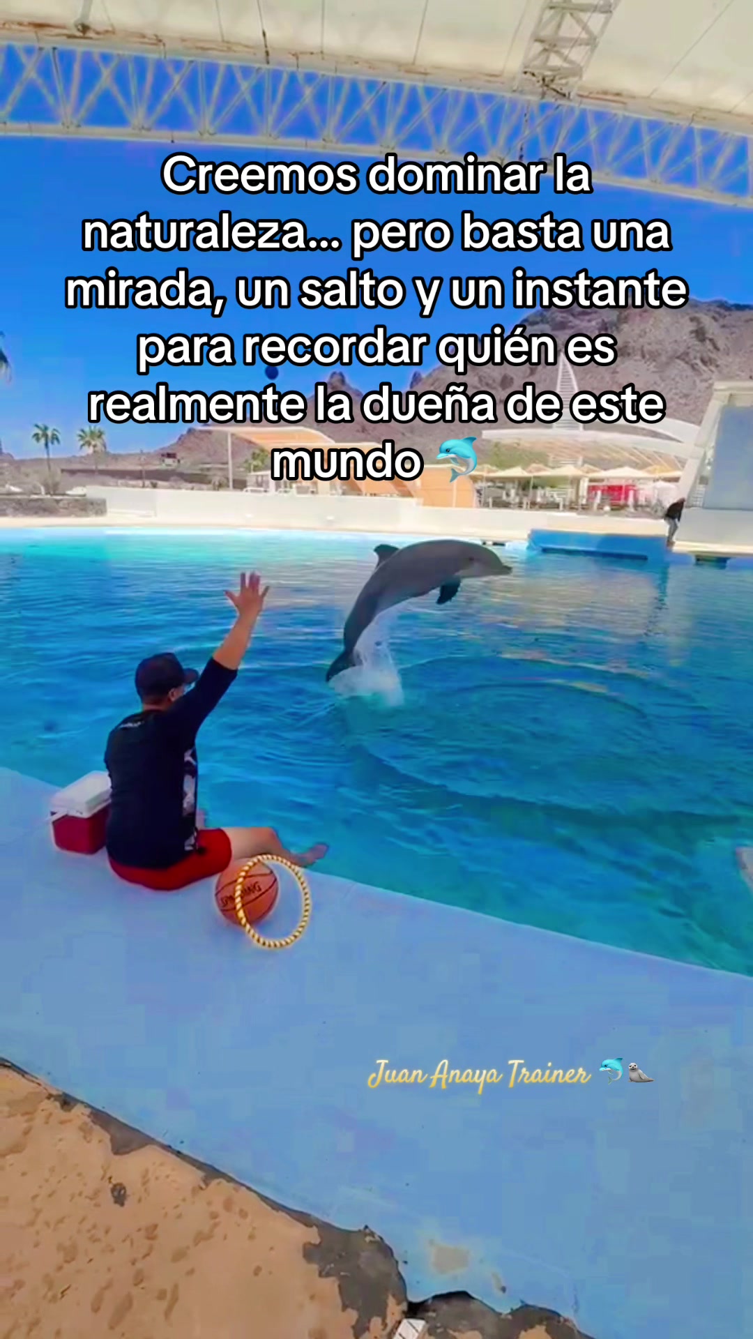 @Juan Anaya Trainer 🐬🦭
